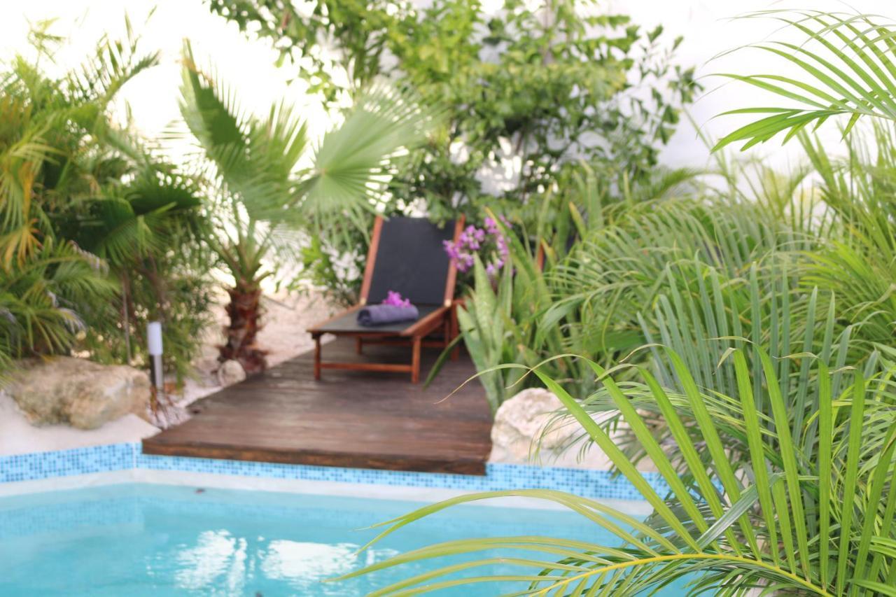 New House Tropic Paradise With Pool Willemstad Luaran gambar