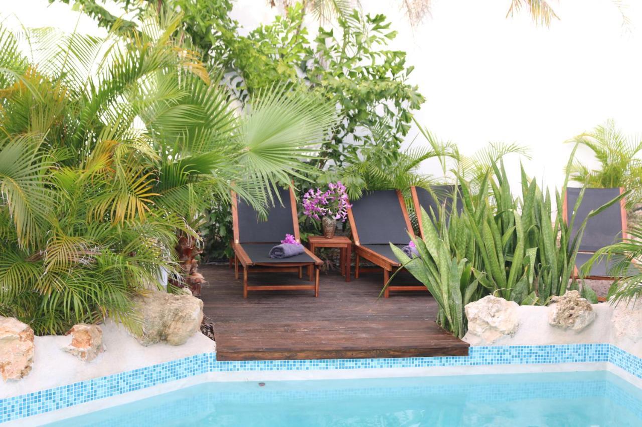 New House Tropic Paradise With Pool Willemstad Luaran gambar