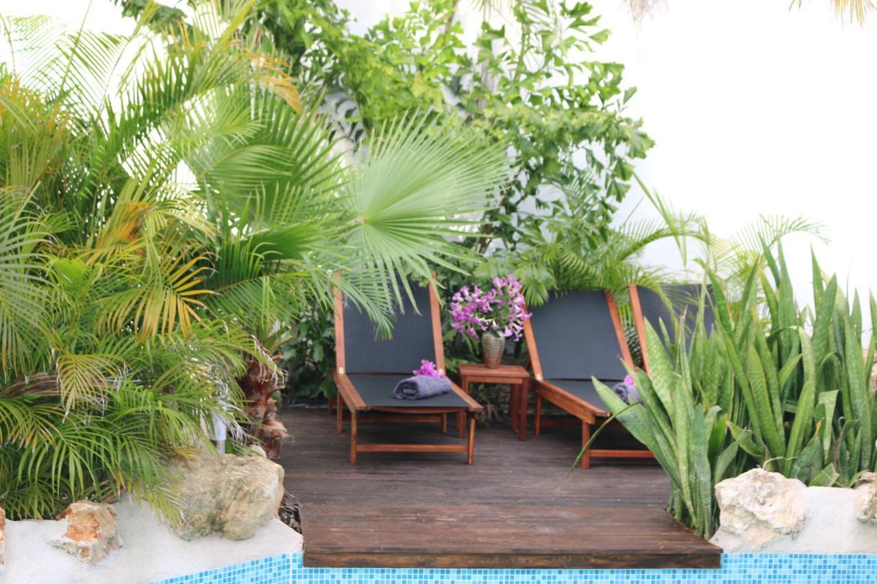 New House Tropic Paradise With Pool Willemstad Luaran gambar