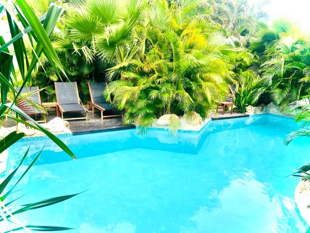 New House Tropic Paradise With Pool Willemstad Luaran gambar